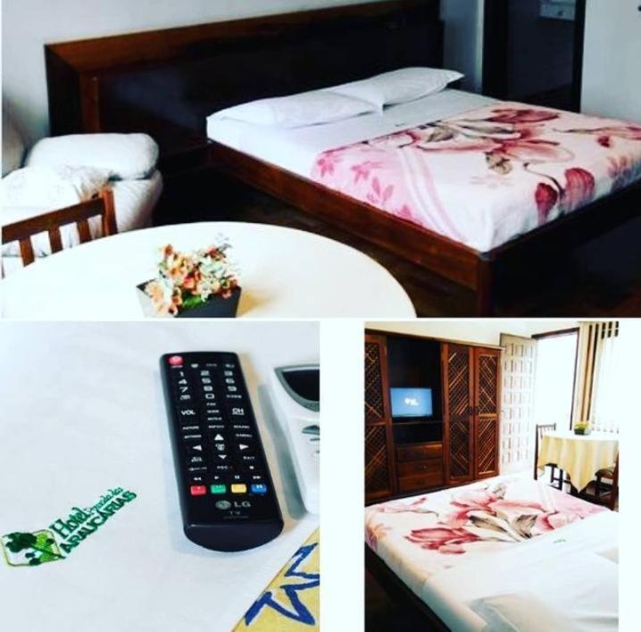 Hotel Pousada Das Araucarias Rio Negrinho Kültér fotó